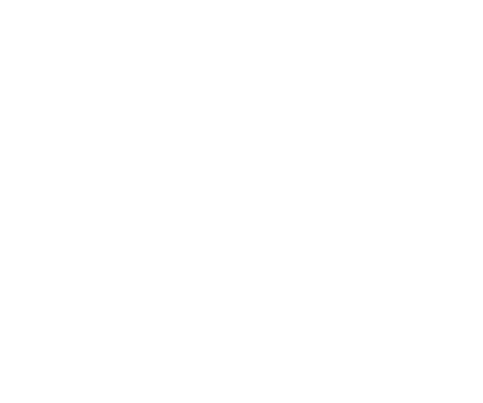 ZEN Shastra logo